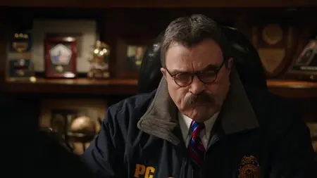 Blue Bloods S08E11