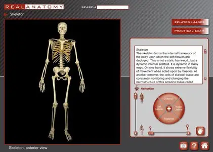Real Anatomy Software DVD 1.0 [repost]