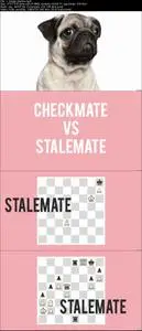 Chess Masterclass: Complete Guide to Chess Rules +Principles