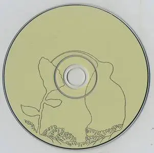 Devendra Banhart - Cripple Crow (2005)