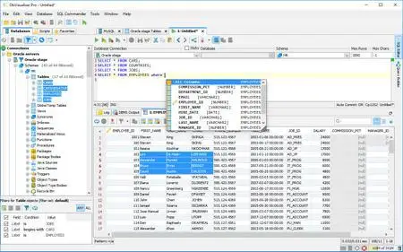 DbVis Software DbVisualizer v10.0.17 (Mac/Lnx)