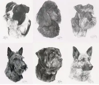 Dogs Encyclopedia Illustations