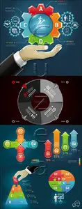 Vector - Business chart infographic