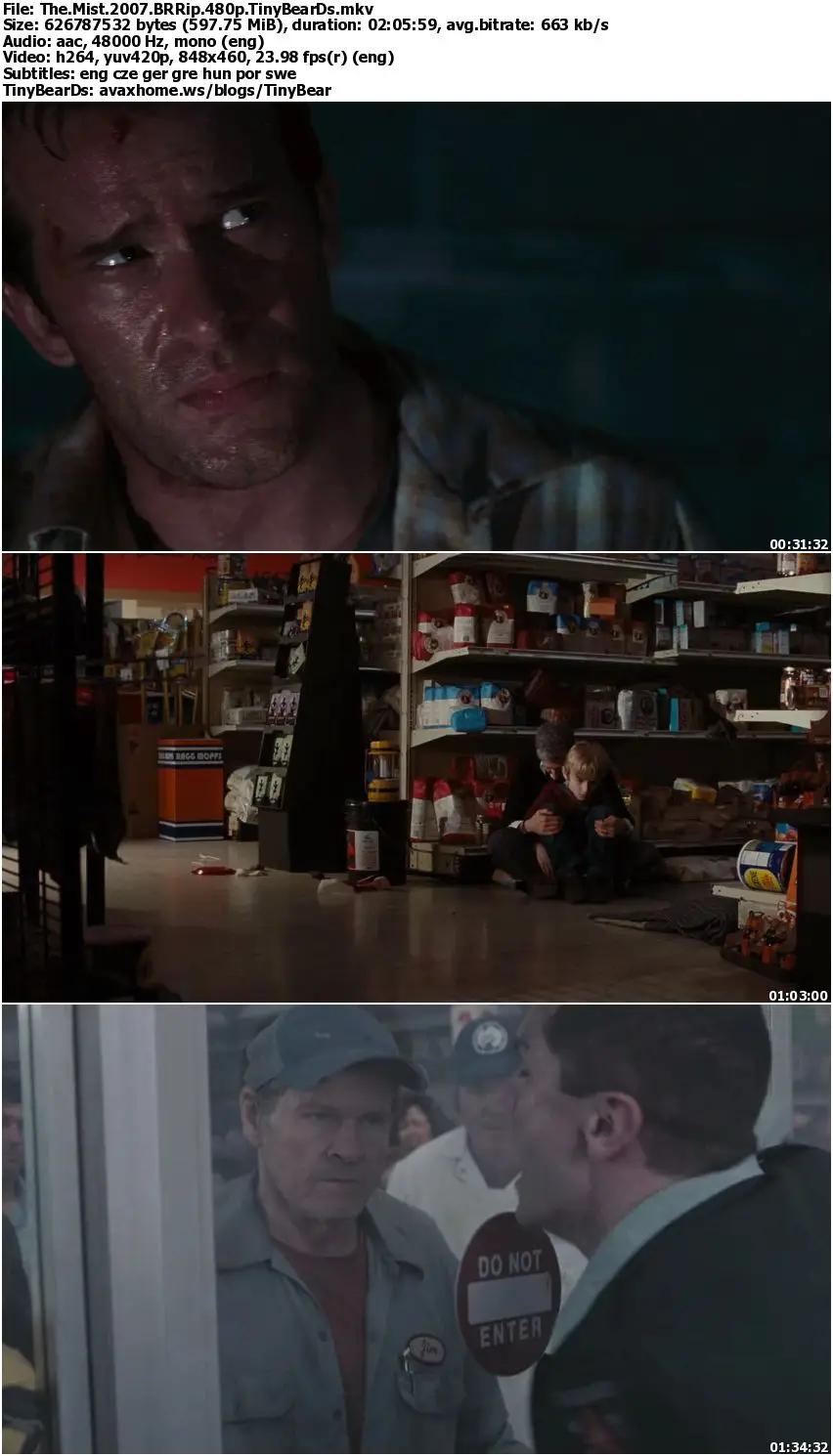 The Mist (2007)