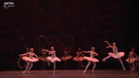 (Arte) "Le Corsaire" de Manuel Legris à l'Opéra de Vienne - „Le Corsaire“ von Manuel Legris an der Wiener Staatsoper (2016)