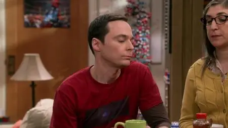 The Big Bang Theory S11E09