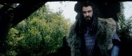 The Hobbit: An Unexpected Journey (2012)