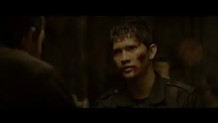 The Raid 2 (2014)