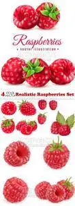 Vectors - Realistic Raspberries Set