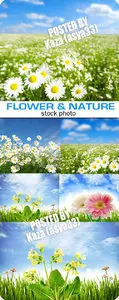 Flowers & nature