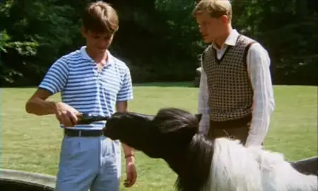 De Uanstandige (1983)