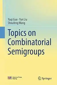 Topics on Combinatorial Semigroups