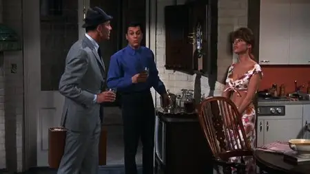 Sex and the Single Girl (1964) [Repost]