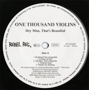 One Thousand Violins – Hey Man That's Beautiful (Rebel Rec. SPV 08-2898) (GER 1989) (Vinyl 24-96 & 16-44.1)