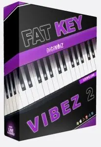 Diginoiz - Fat Key Vibez 2