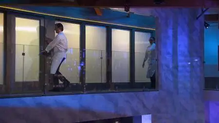 Hell's Kitchen S17E15