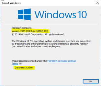 Microsoft Windows 10 Pro 1903 (OS Build 18362.113) May 2019