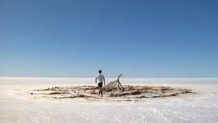 Screen Australia - Salt