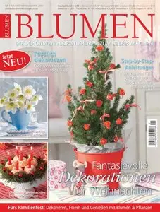 Blumen Floristik Ideen zum selbermachen Nr 01 Advent Weihnachten 2010