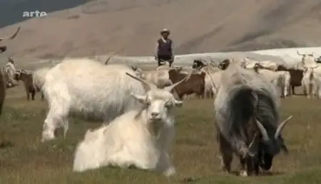 (Arte) L'âme de l'Himalaya (3 volets)(2011)