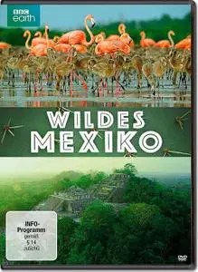 Mexico: Earth's Festival of Life (2017)