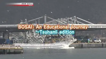 BOSAI: An Educational Journey Tsunami Edition (2018)