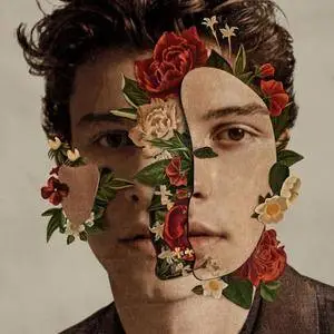 Shawn Mendes - Shawn Mendes (2018)