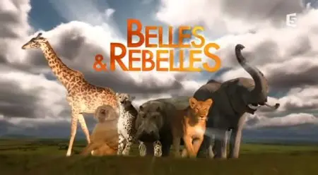 (Fr5) Belles et rebelles (2013)