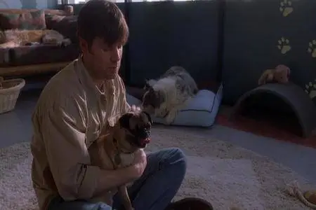 Six Feet Under S04E06