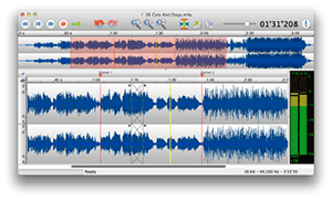 TwistedWave 1.10.0 - Mac OSX iNTEL 32/64Bit