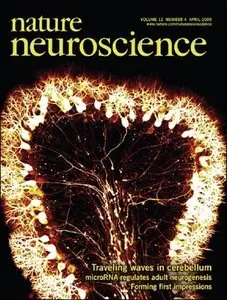 Nature Neuroscience old issues 1998-2006 full set 