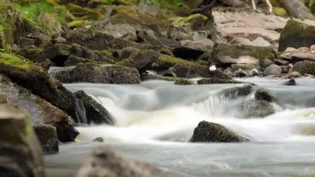Wild Britain S01E04