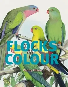 Flocks of Colour