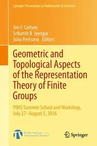 Geometric and Topological Aspects of the Representation Theory of Finite Groups (Repost)