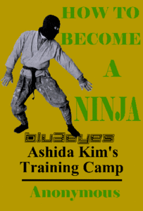 How To Become A Ninja - Ashida Kim's Training Camp