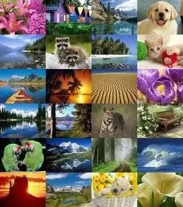 Webshots - Daily Photos - March 2008