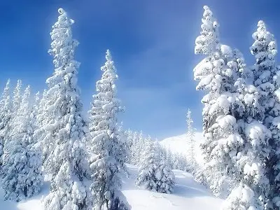 Wallpapers Mania - 44