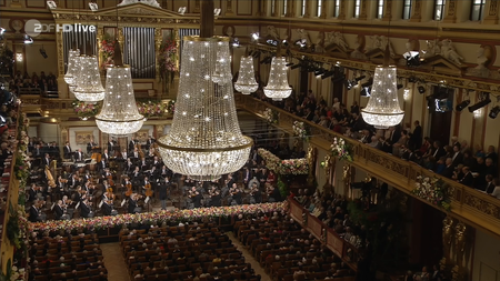 Gustavo Dudamel / Wiener Philharmoniker - Neujahrskonzert / New Year's Concert 2017 (2017) [HDTV 720p]