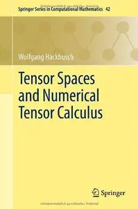 Tensor Spaces and Numerical Tensor Calculus (repost)