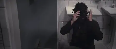 Flypaper (2011)