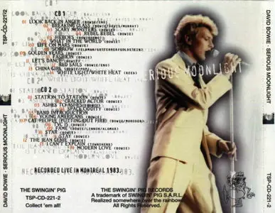 David Bowie Montreal 1983-07-13 Live Soundboard Recording