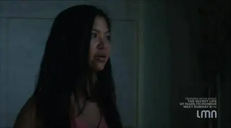 Stranger in the House (2015)