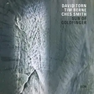 David Torn, Tim Berne & Ches Smith - Sun of Goldfinger (2019)