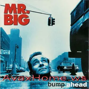 Mr. Big - Bump Ahead (1993)