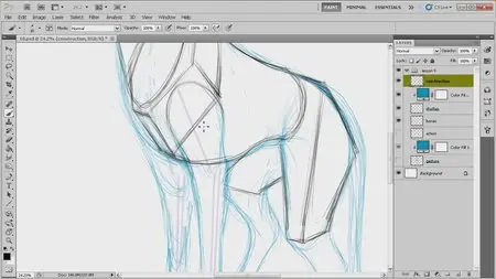 Fundamentals of Drawing Animal Anatomy [repost]