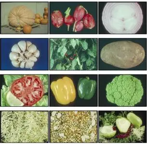 Corel Professional Photos - Vegetables
