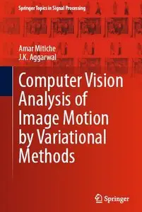 Computer Vision Analysis of Image Motion (repost)