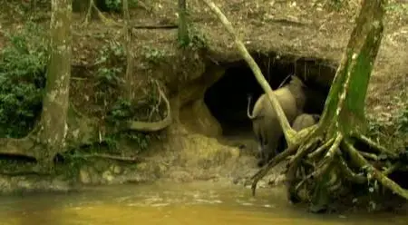 Gabon the last Eden