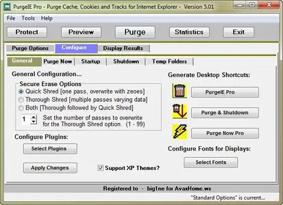 PurgeIE Pro 5.01 Build 5.1.0.384