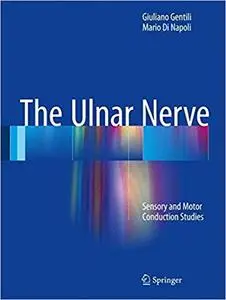 The Ulnar Nerve: Sensory and Motor Conduction Studies (Repost)